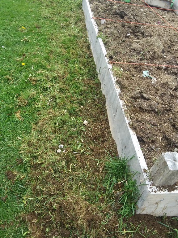 Christopher Greaves SecondEssays_20240608_161752.jpg